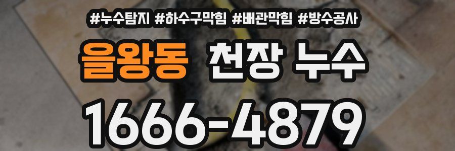 을왕동 천장 누수