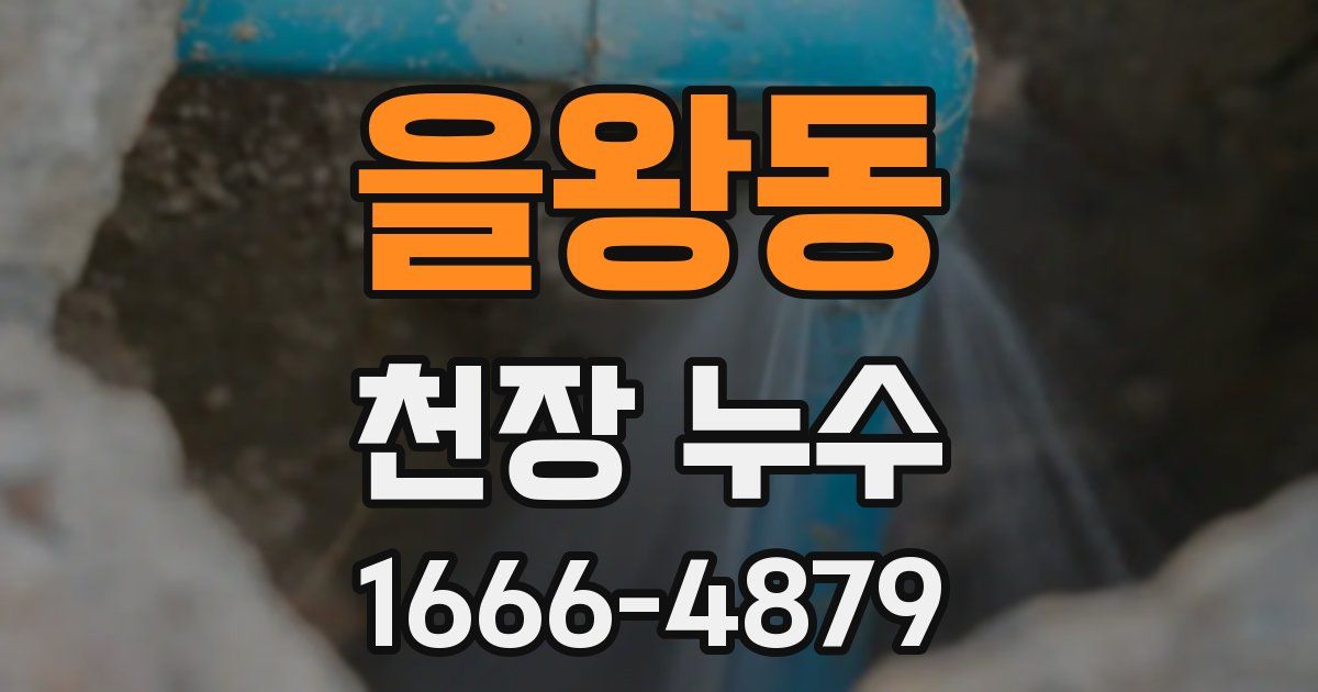 을왕동 천장 누수