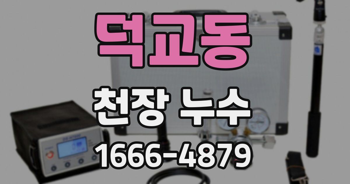 덕교동 천장 누수