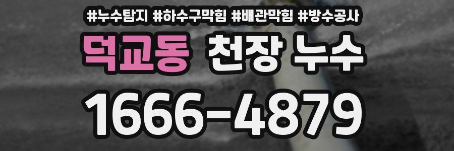 덕교동 천장 누수