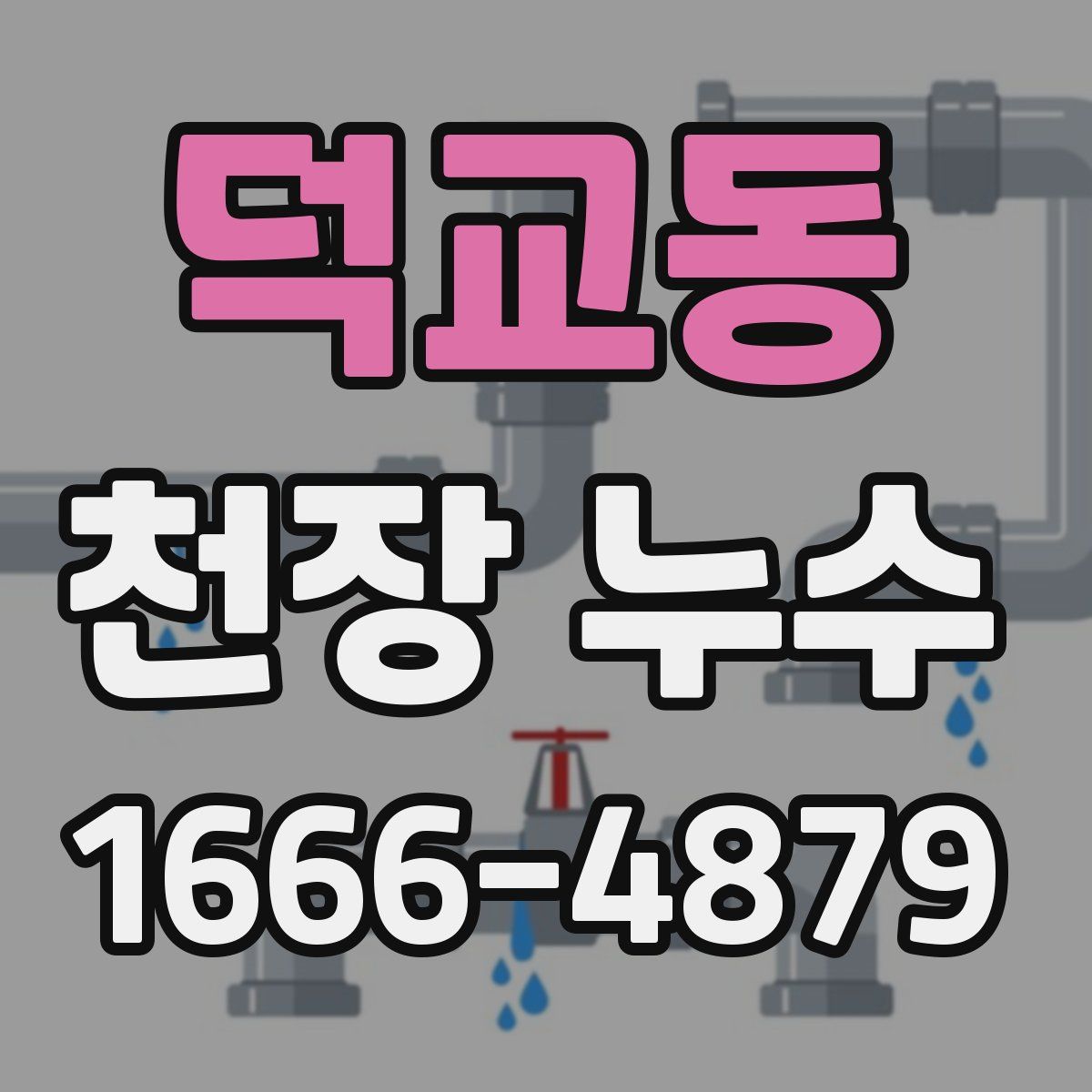 덕교동 천장 누수
