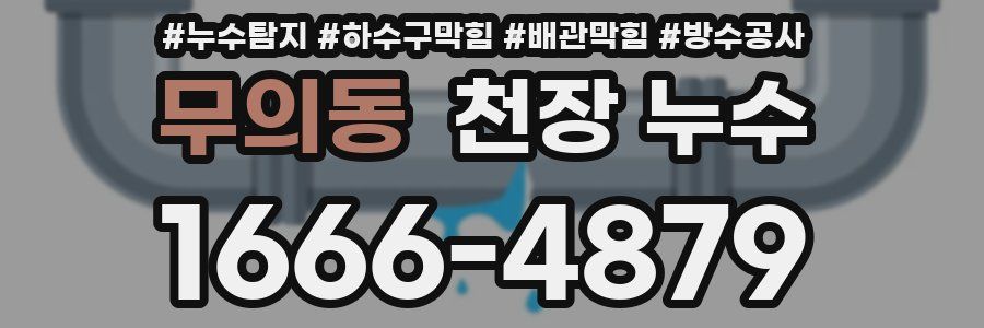 무의동 천장 누수
