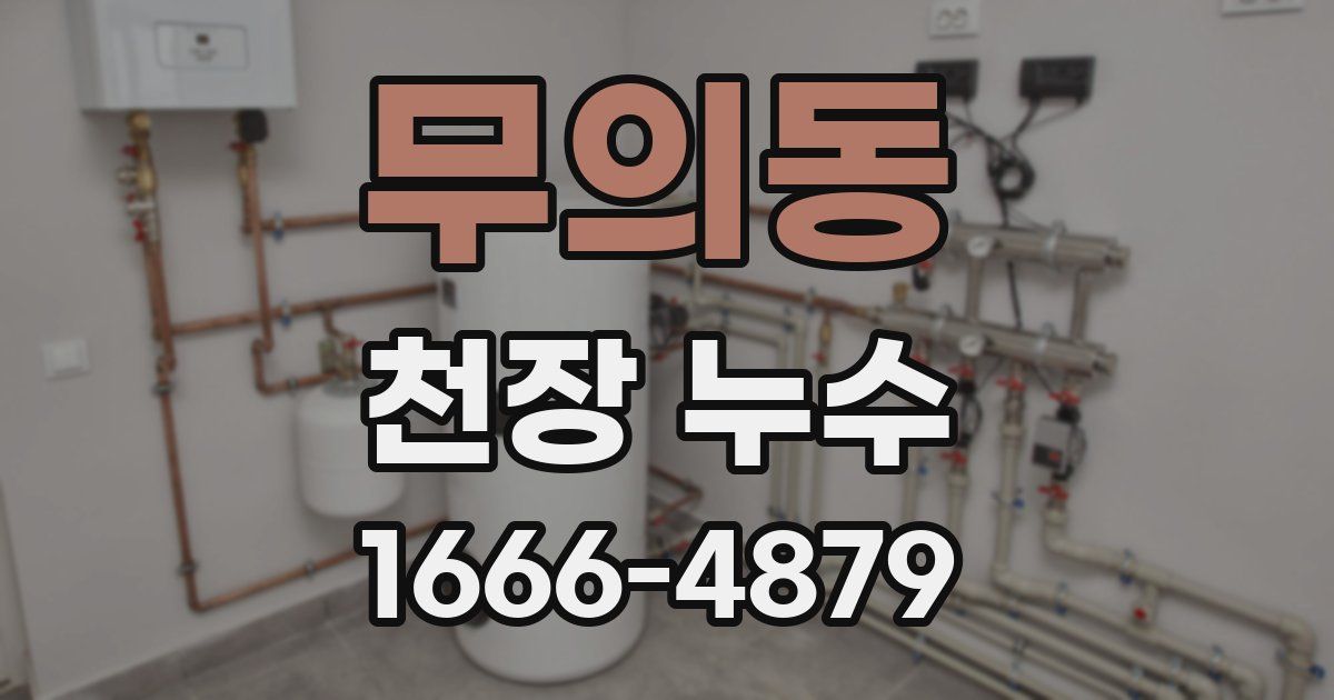 무의동 천장 누수