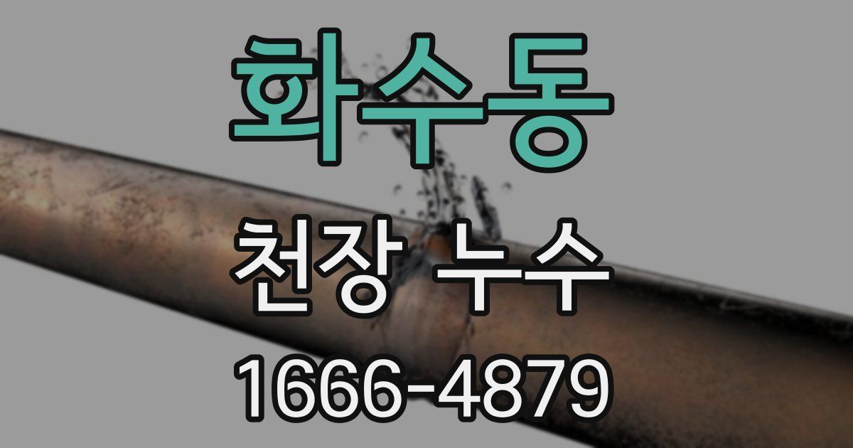 화수동 천장 누수