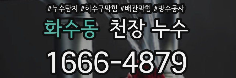 화수동 천장 누수