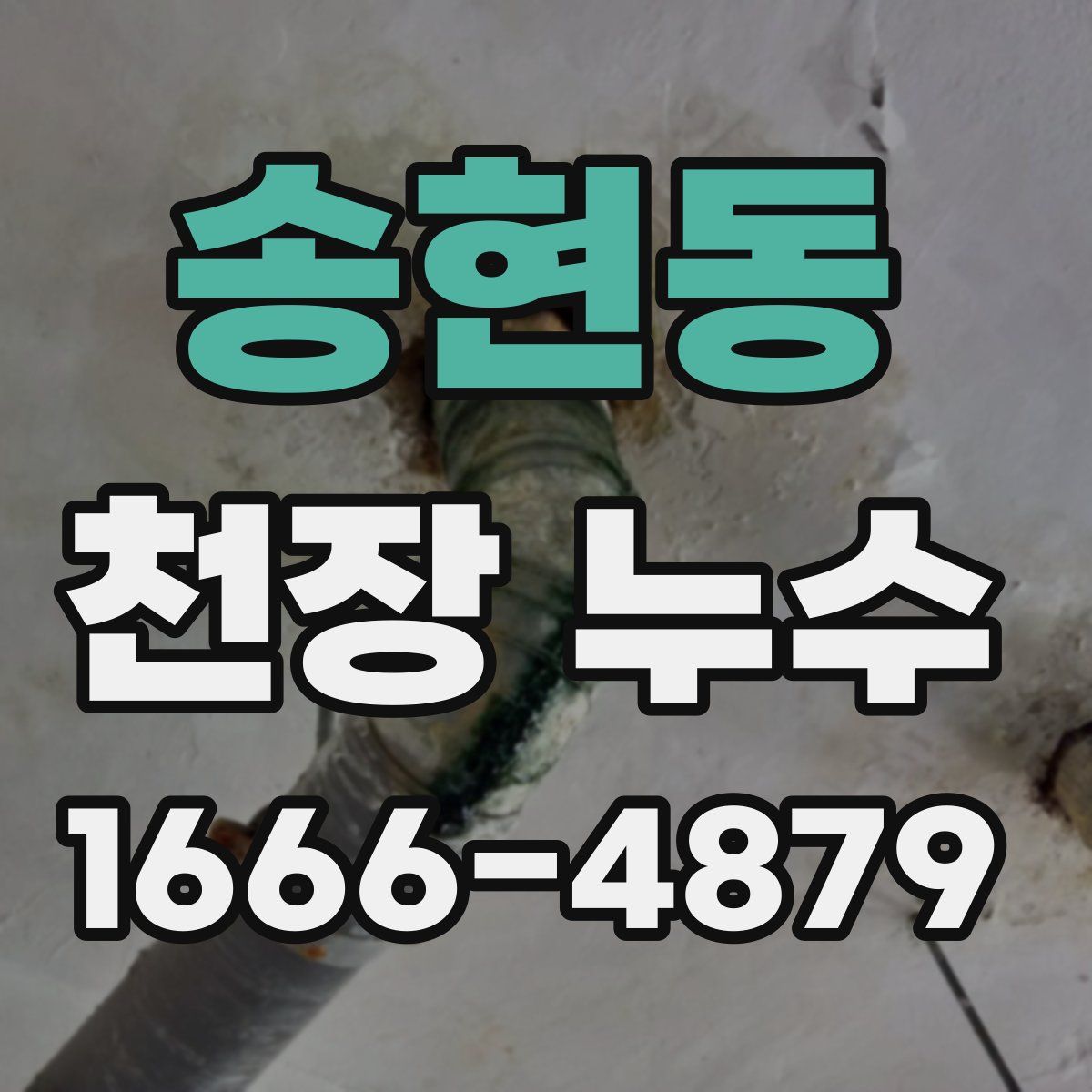 송현동 천장 누수