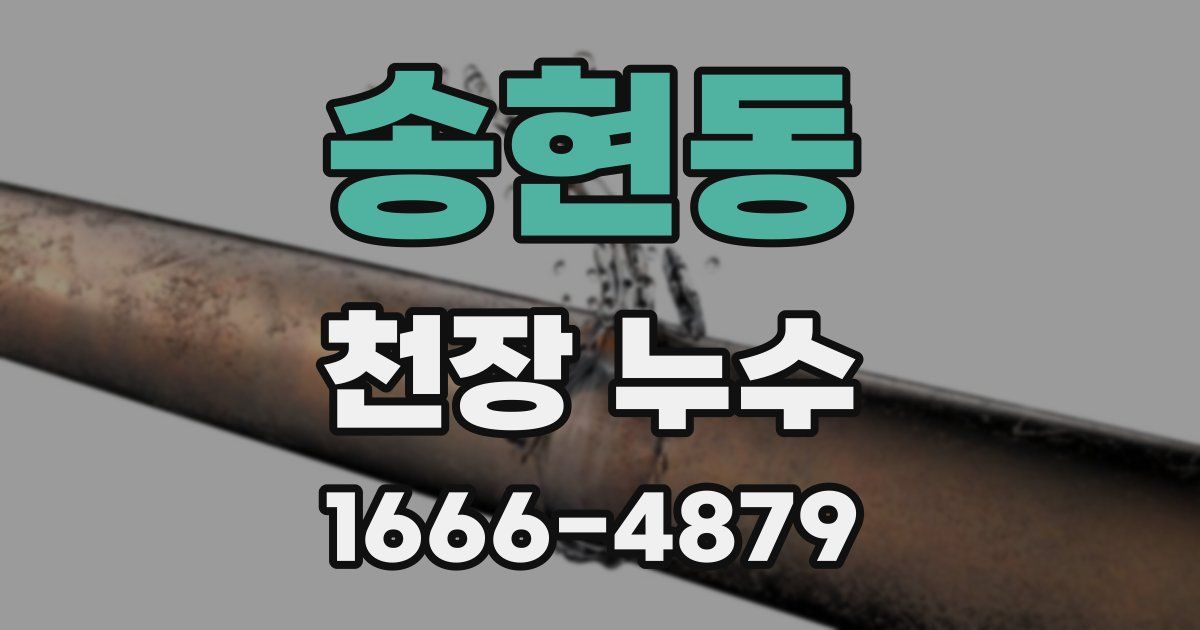 송현동 천장 누수