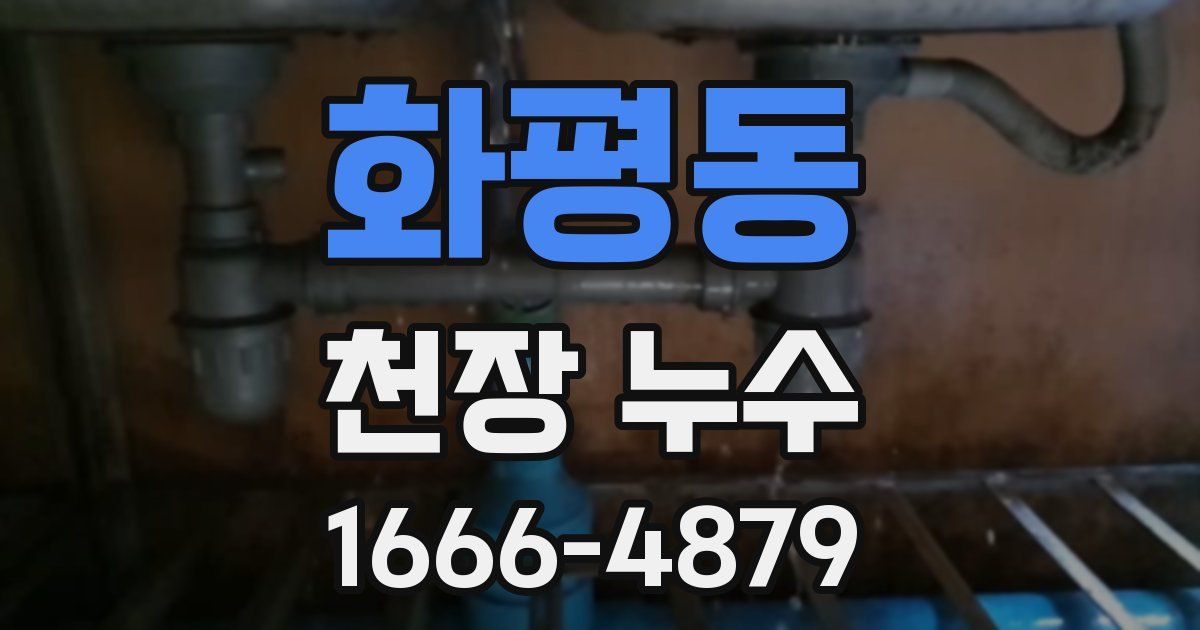 화평동 천장 누수