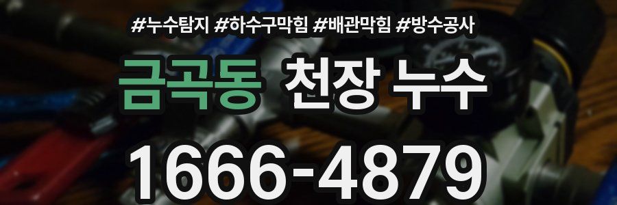 금곡동 천장 누수