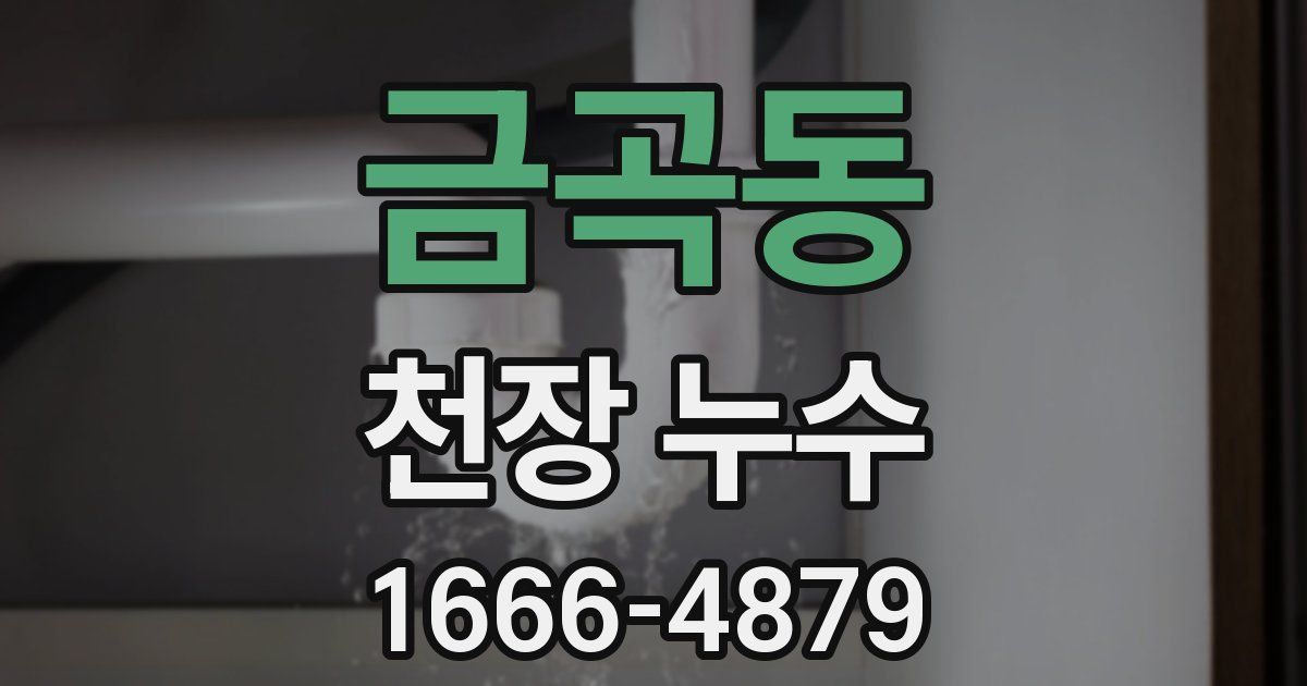 금곡동 천장 누수