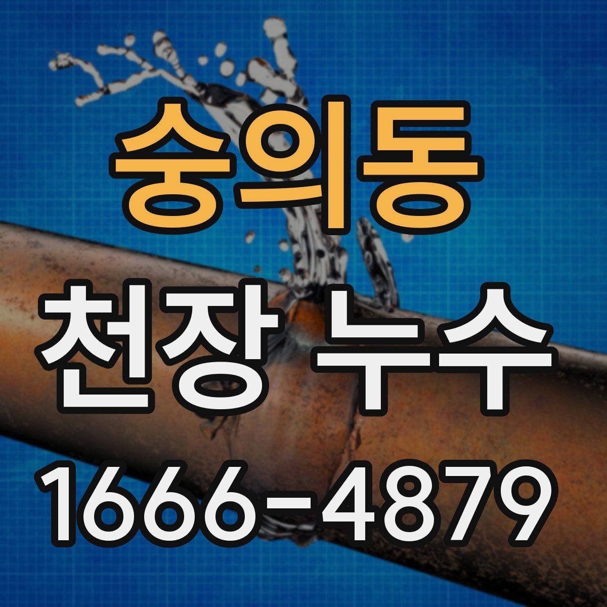 숭의동 천장 누수