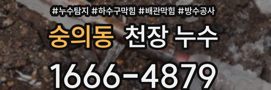 숭의동 천장 누수