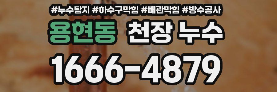 용현동 천장 누수