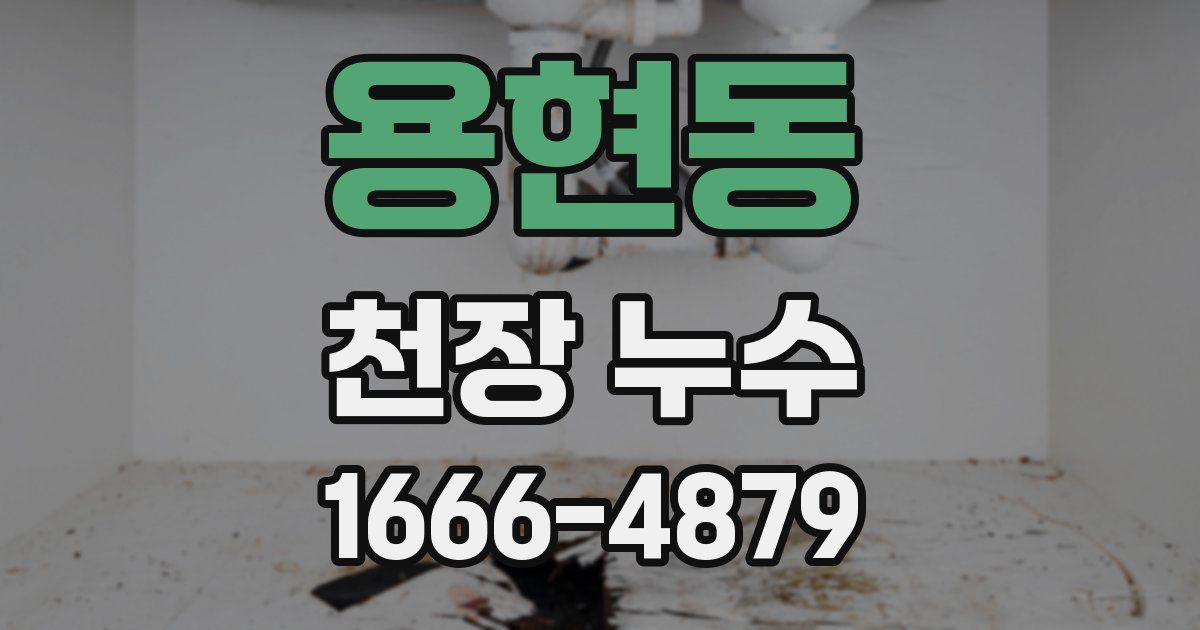 용현동 천장 누수