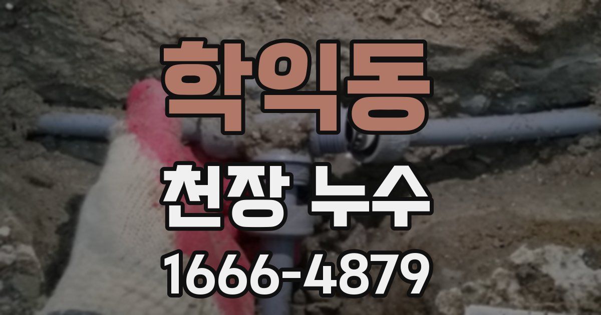 학익동 천장 누수