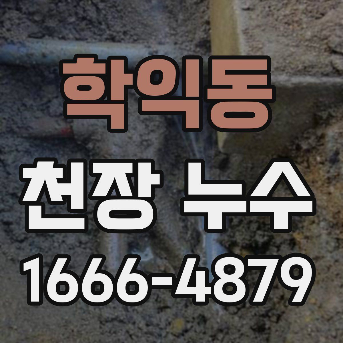 학익동 천장 누수