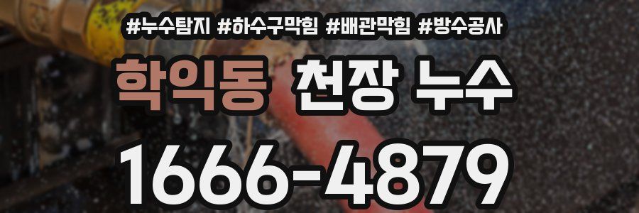 학익동 천장 누수