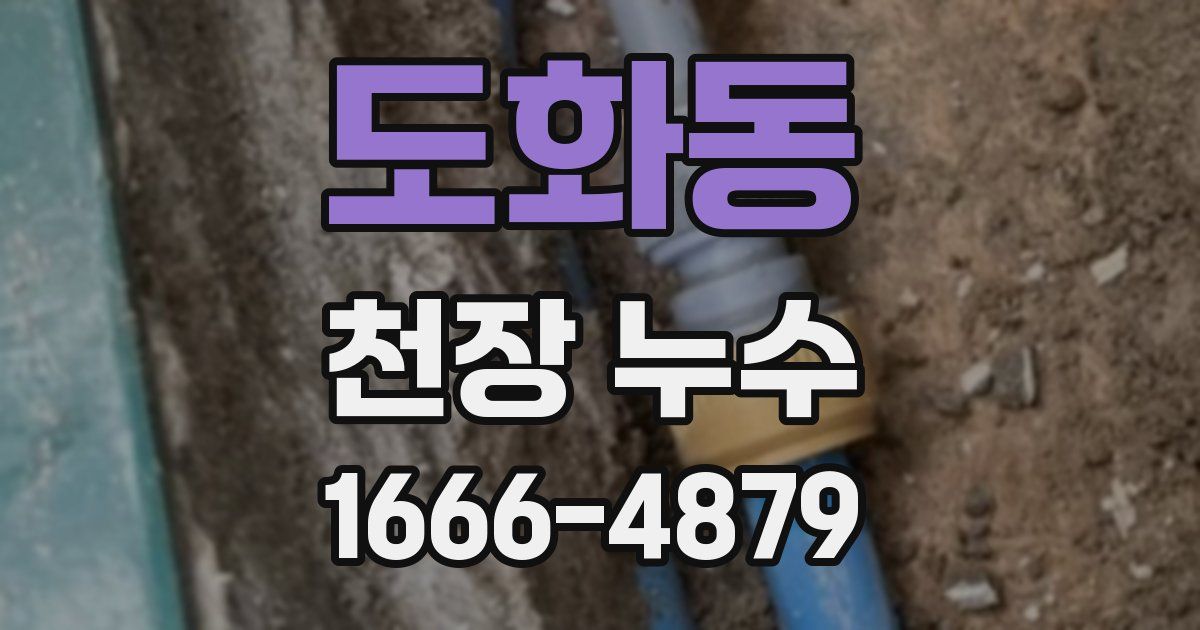 도화동 천장 누수