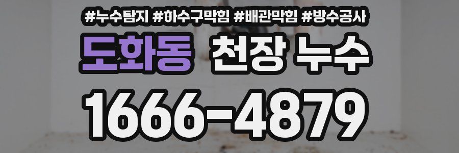 도화동 천장 누수