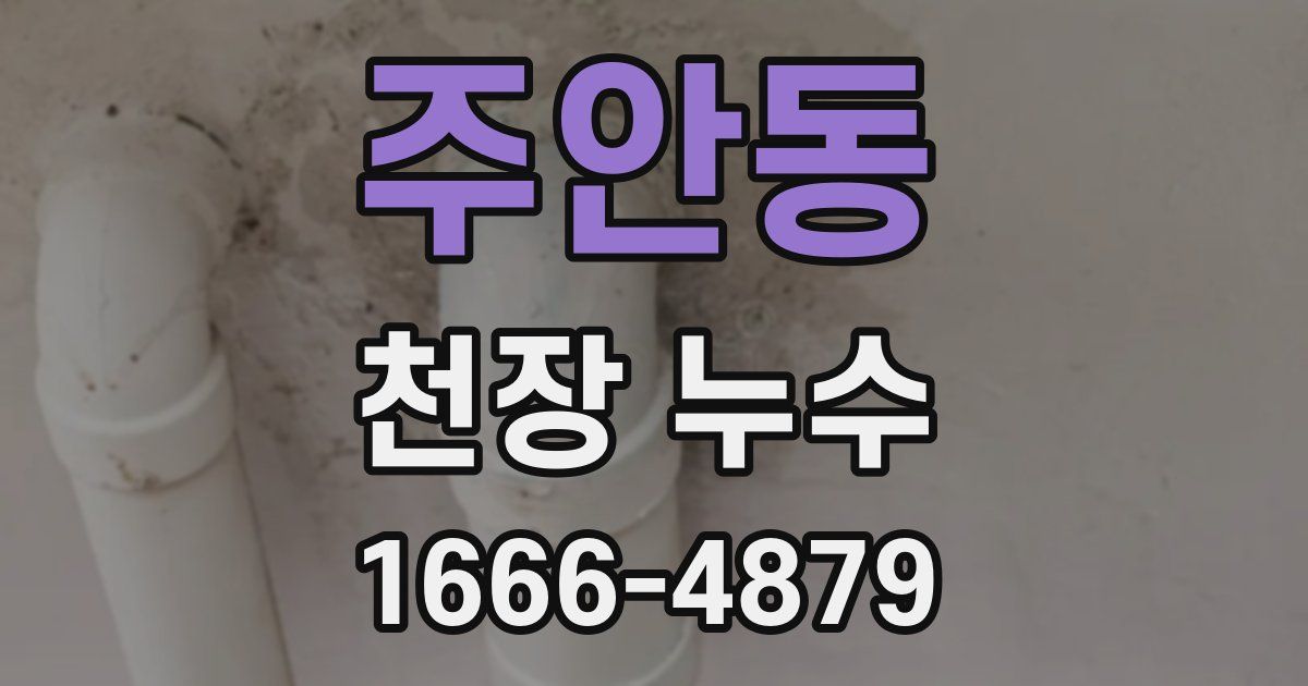 주안동 천장 누수