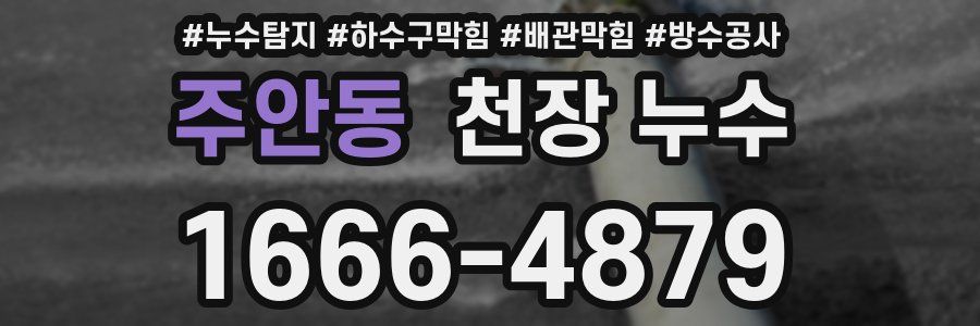 주안동 천장 누수