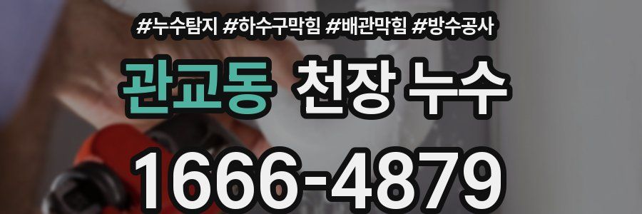 관교동 천장 누수