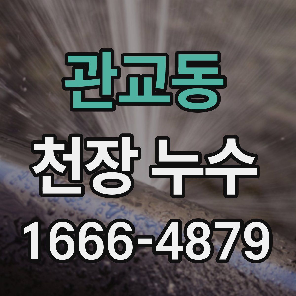 관교동 천장 누수