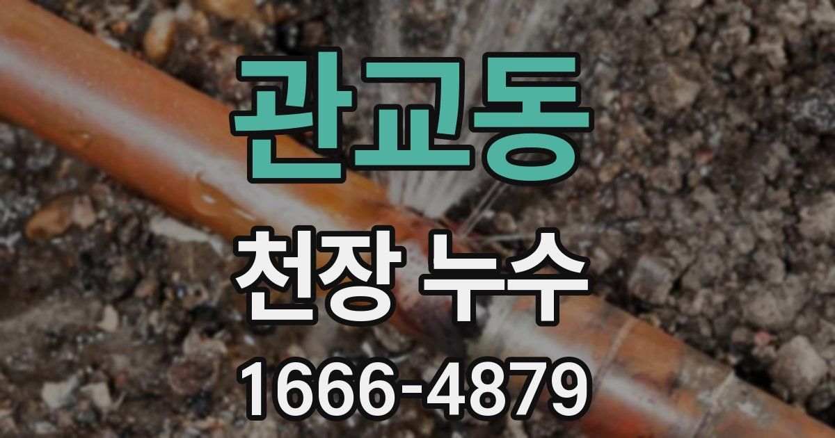 관교동 천장 누수