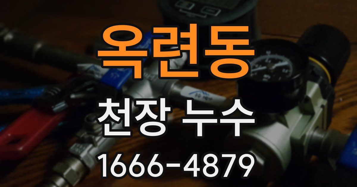 옥련동 천장 누수