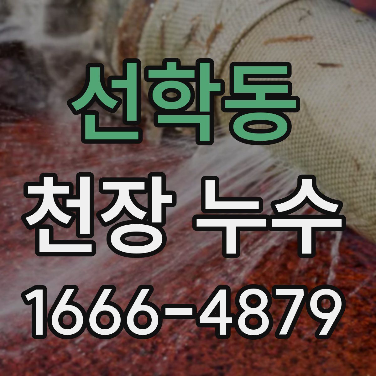 선학동 천장 누수