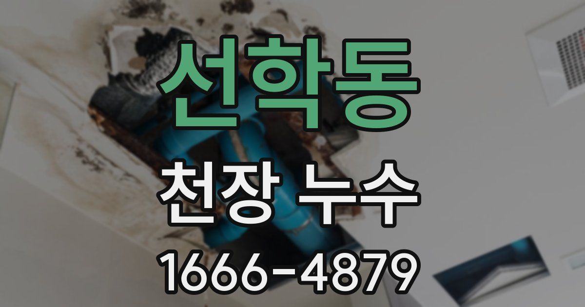 선학동 천장 누수
