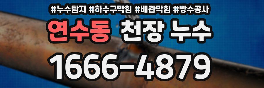 연수동 천장 누수