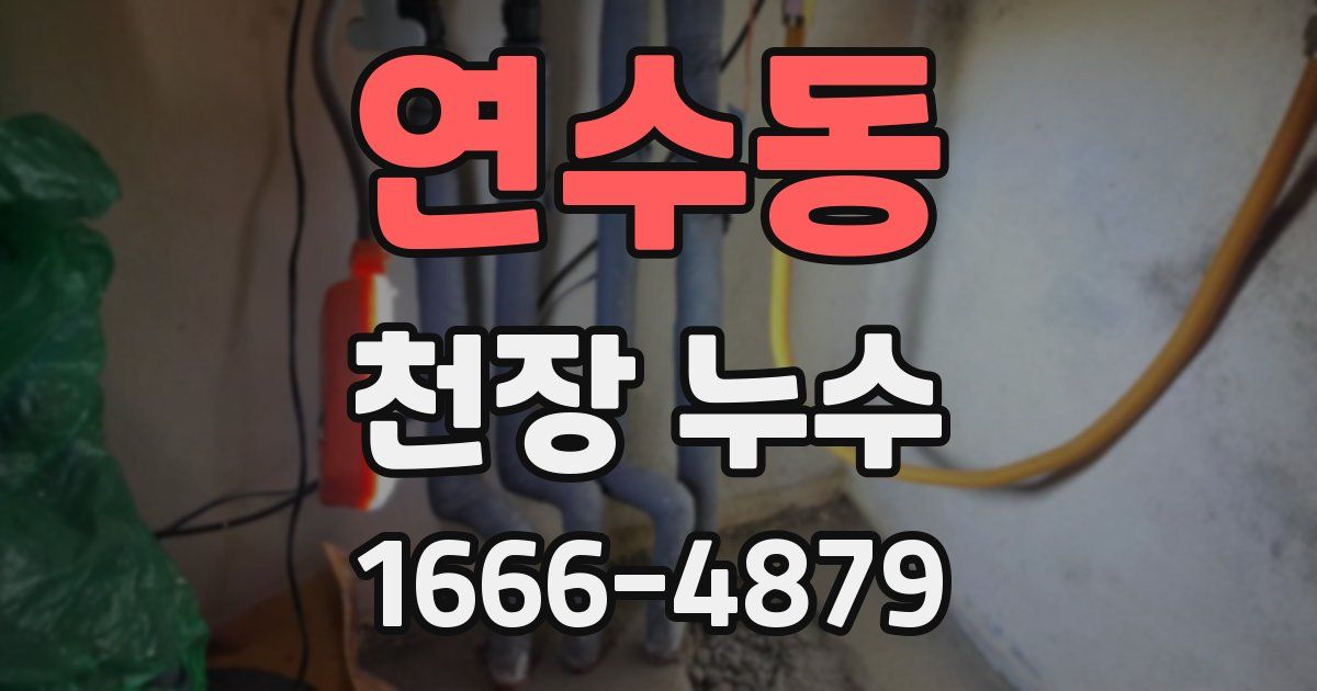 연수동 천장 누수