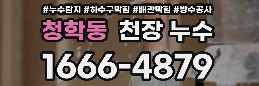 청학동 천장 누수