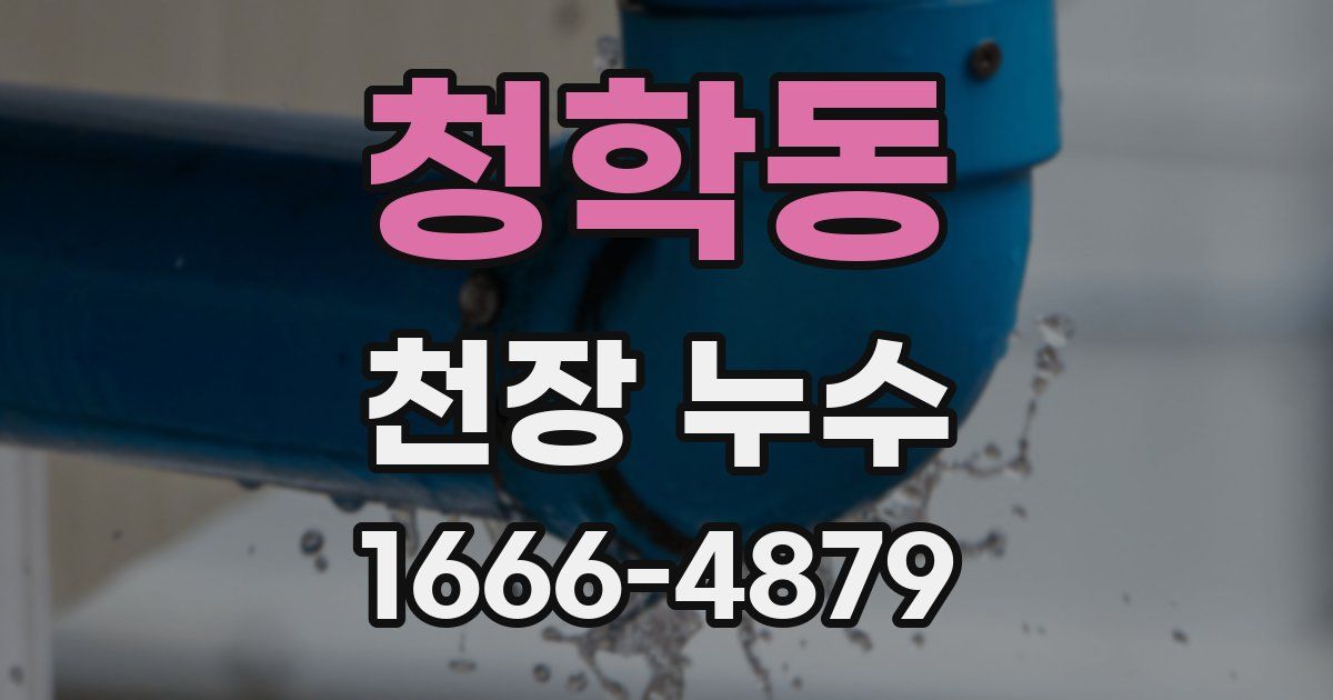 청학동 천장 누수