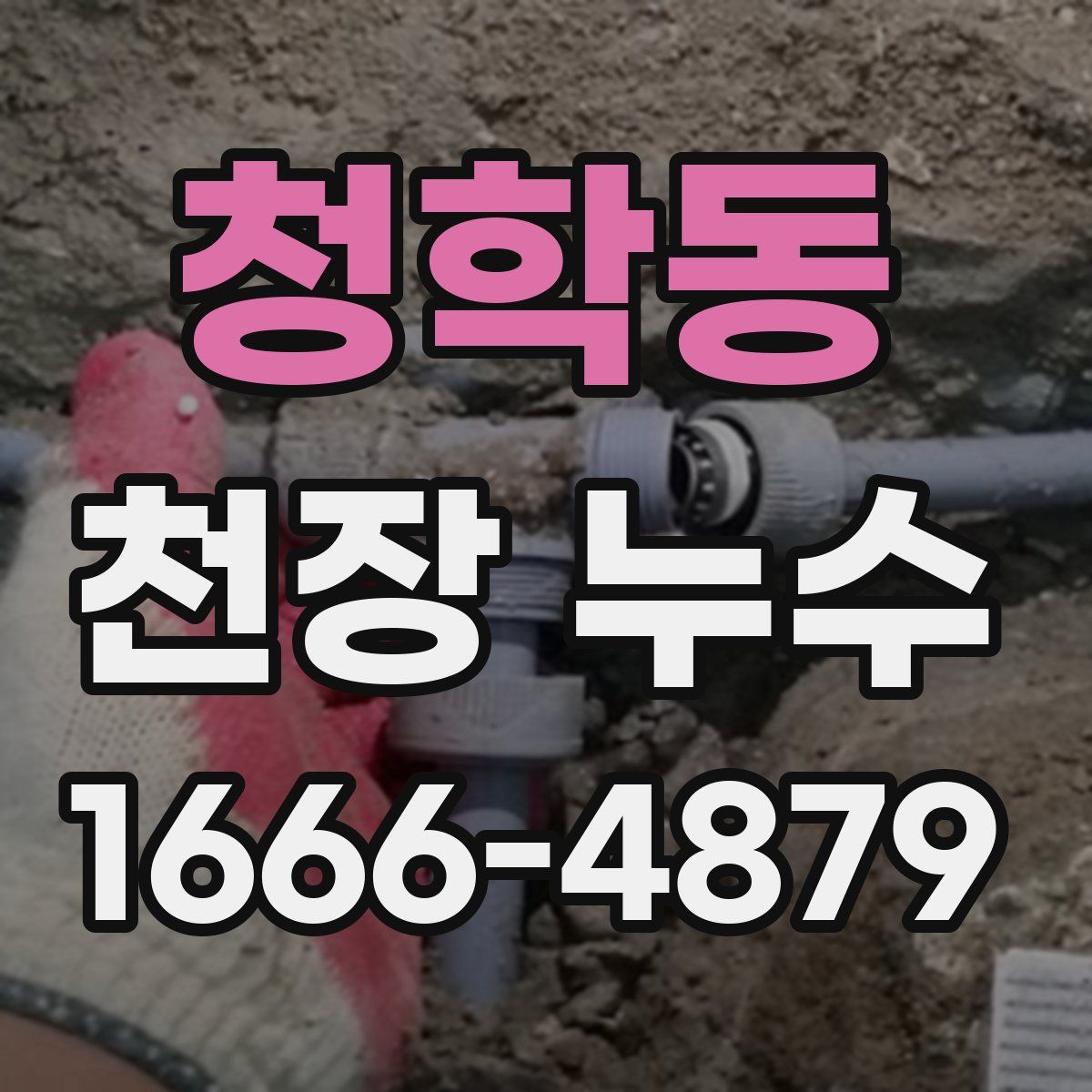 청학동 천장 누수