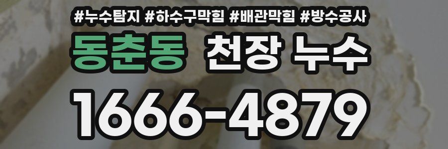 동춘동 천장 누수