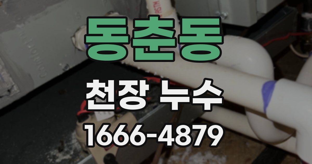 동춘동 천장 누수