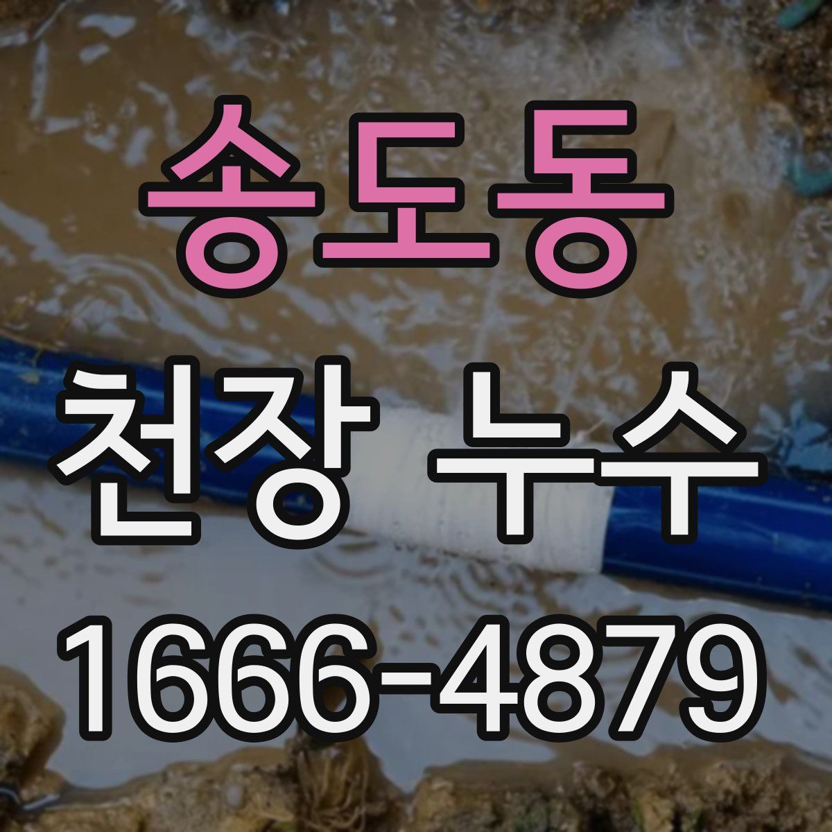 송도동 천장 누수