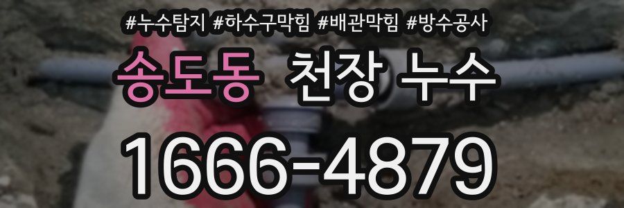 송도동 천장 누수