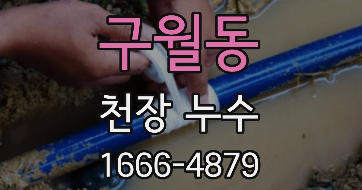 구월동 천장 누수