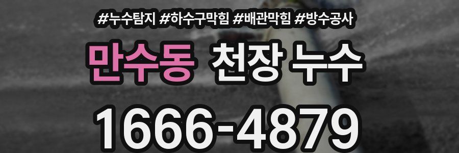 만수동 천장 누수