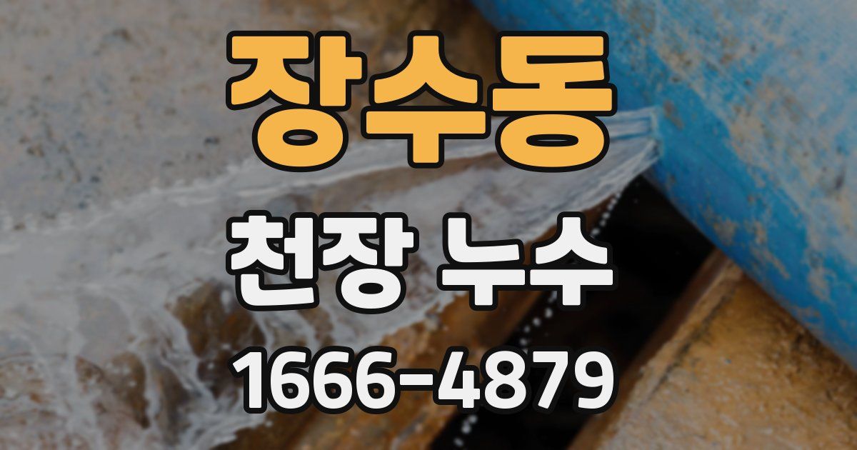 장수동 천장 누수