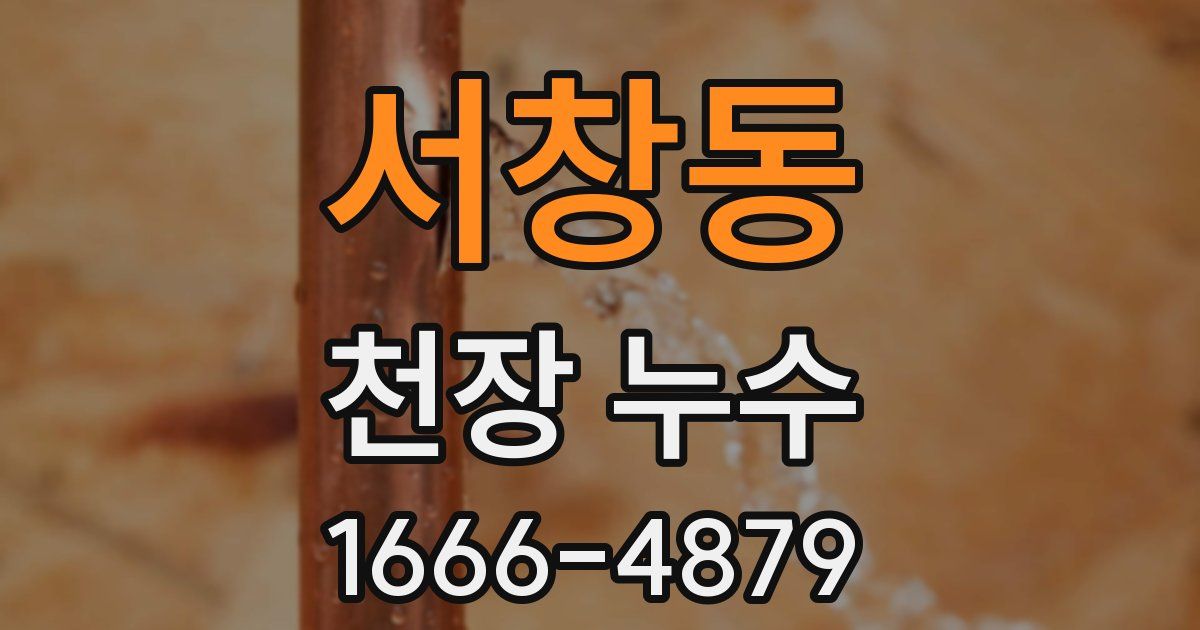 서창동 천장 누수