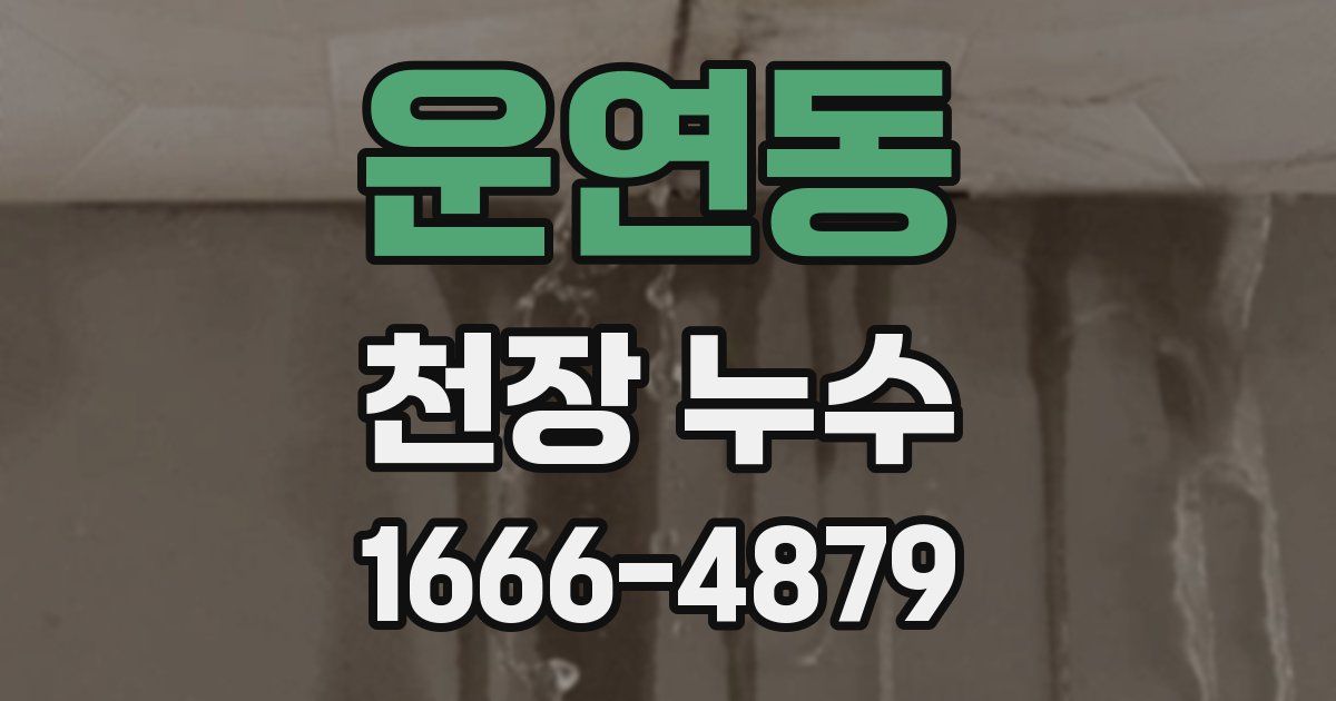 운연동 천장 누수