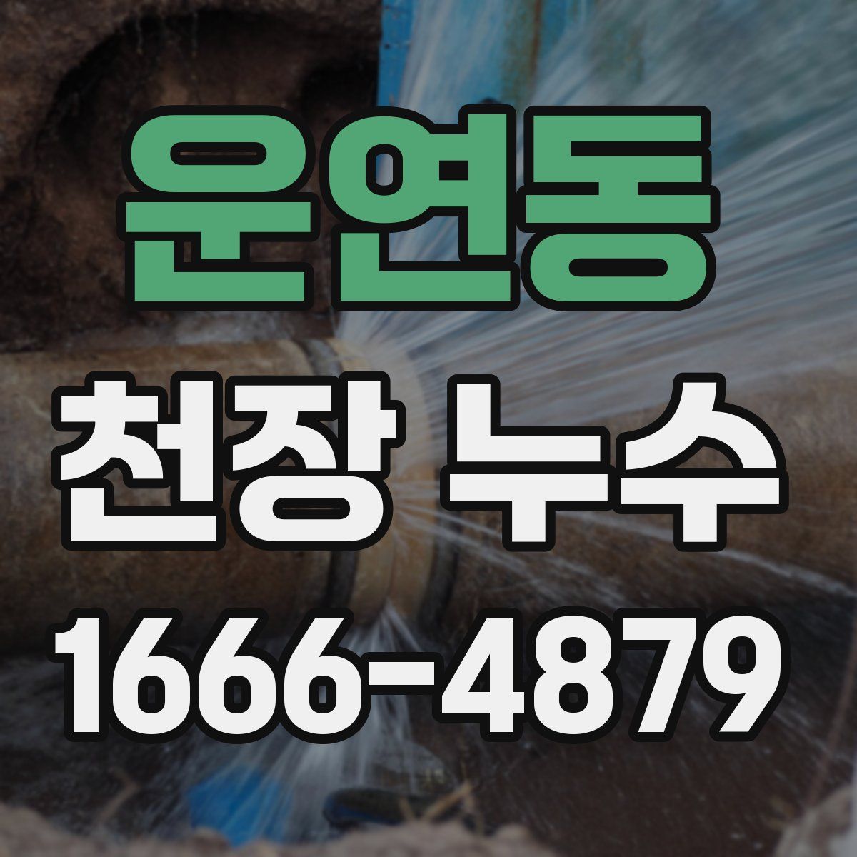 운연동 천장 누수