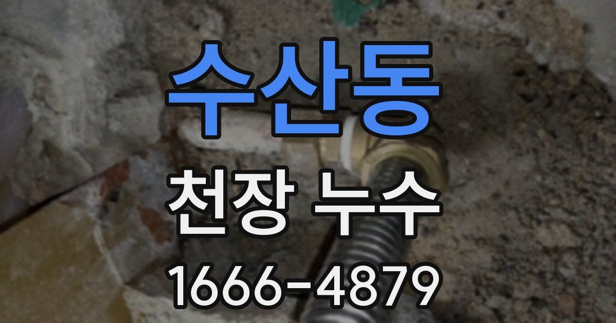 수산동 천장 누수