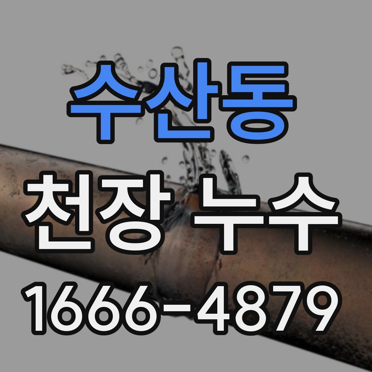 수산동 천장 누수