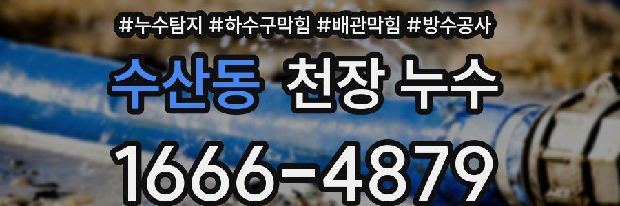 수산동 천장 누수