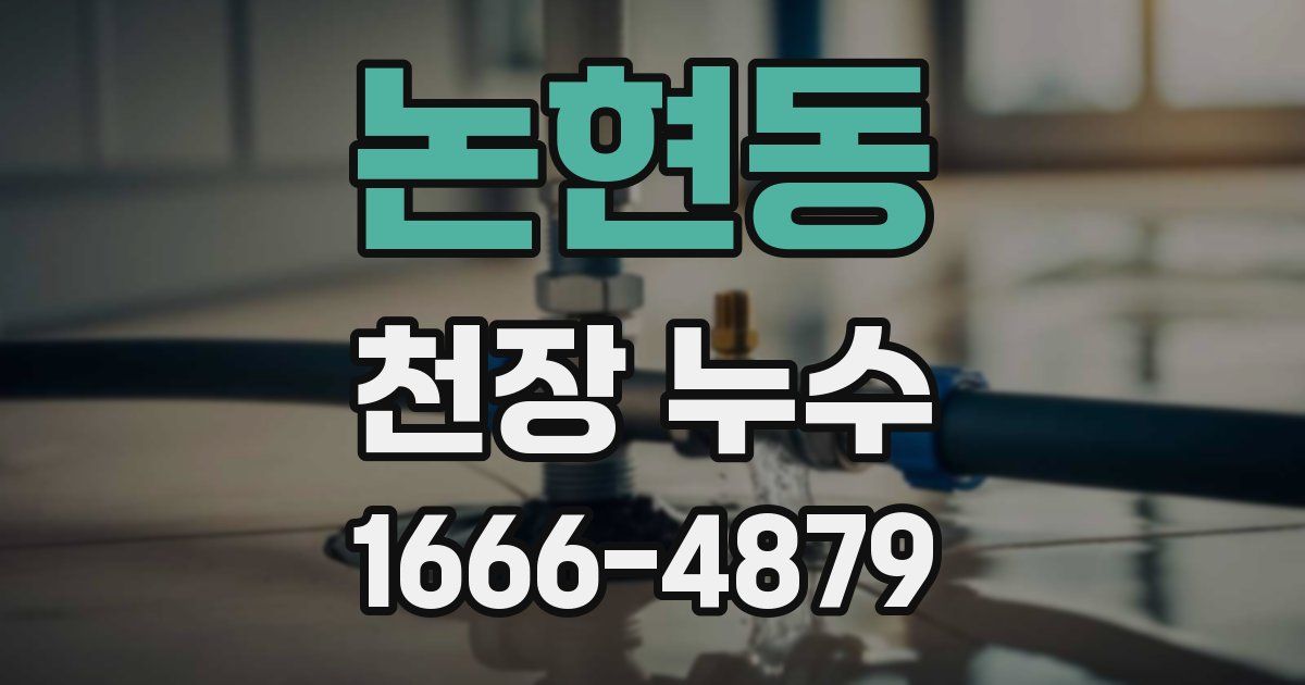 논현동 천장 누수